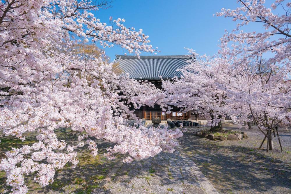 Ryokan Ryuhonji Shishinkaku Kyoto